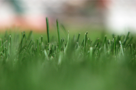 Greenkeeping - Was ist Rasen